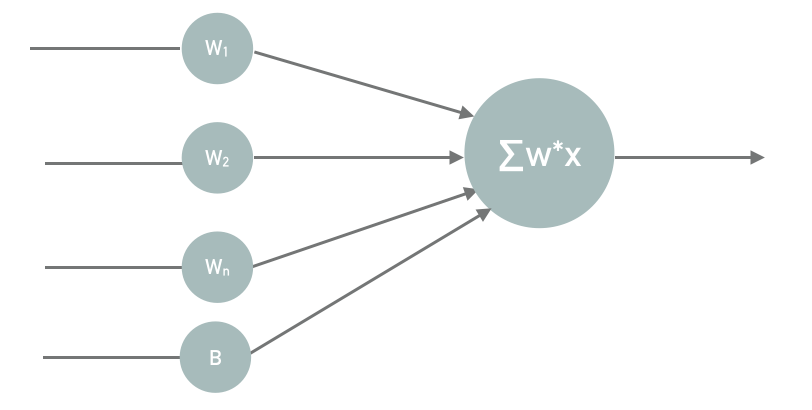 "Neuron in nn"